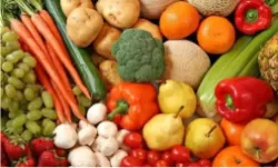 Modified Atmosphere Refrigerator for Fruits & Vegetables