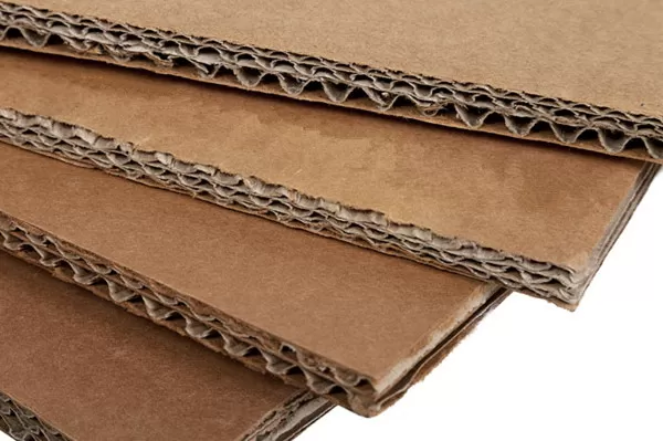 Kiểm tra giấy và bìa cứng